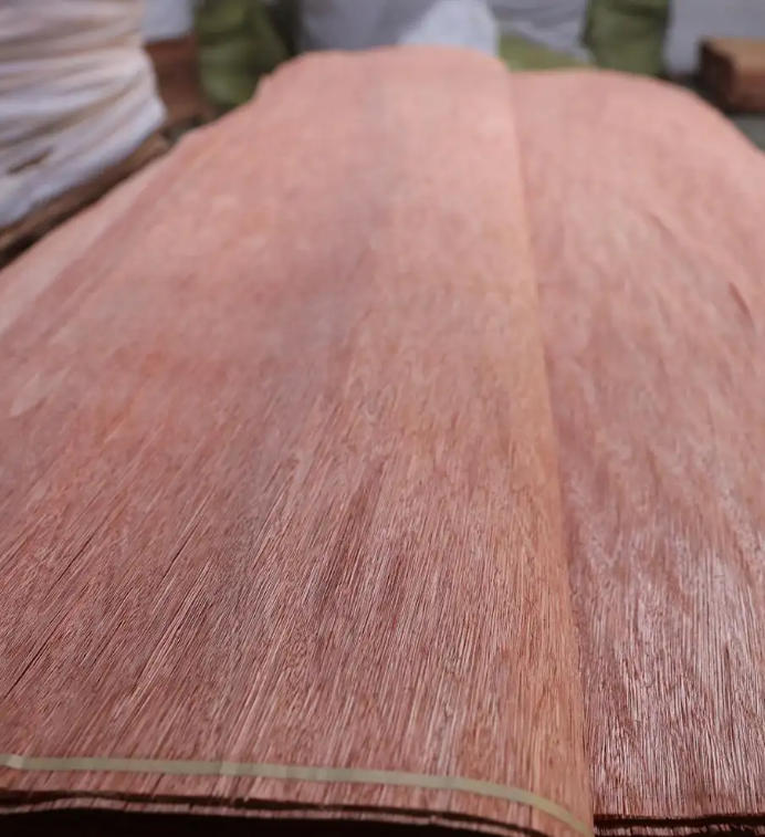 Bintangor Veneer