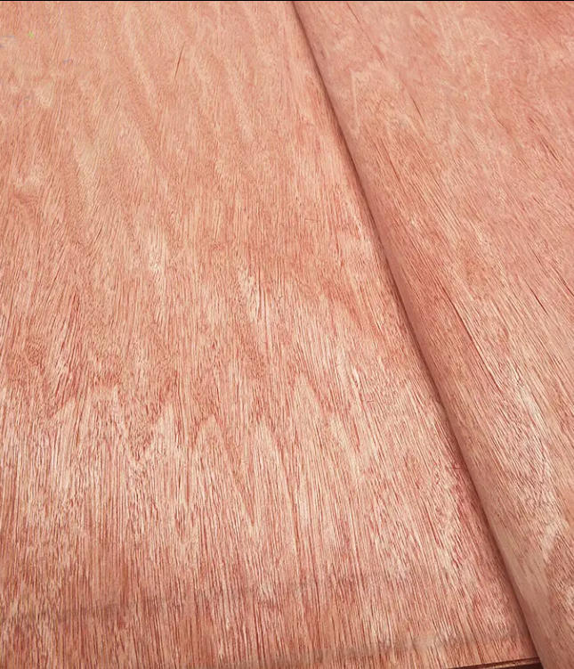 Bintangor Veneer