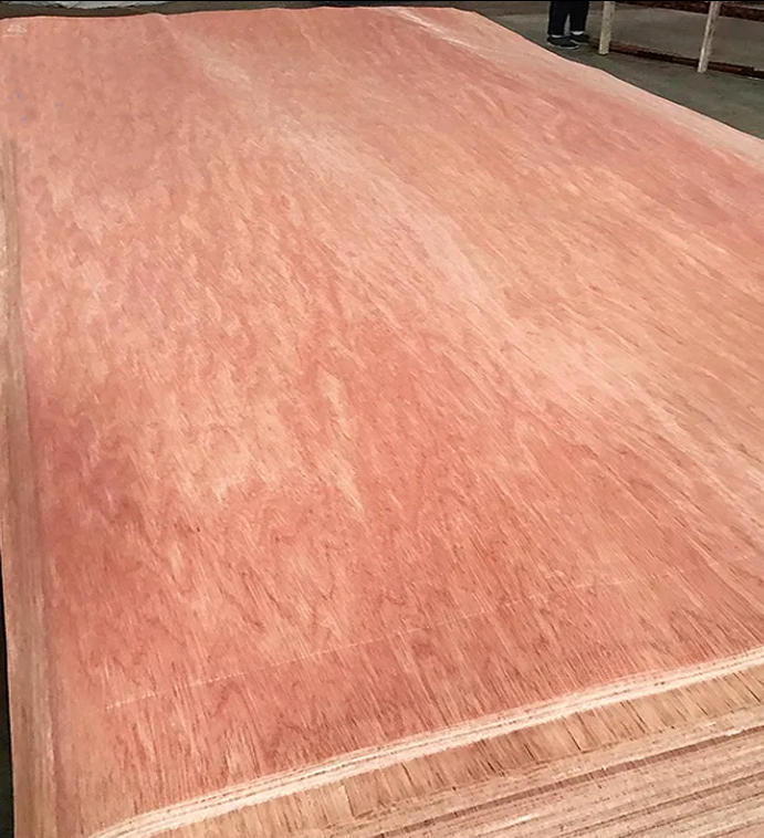 Bintangor Veneer
