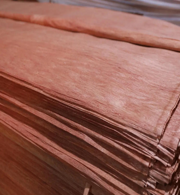 Bintangor Veneer