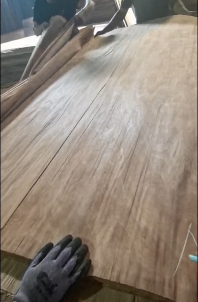 GUW Veneer