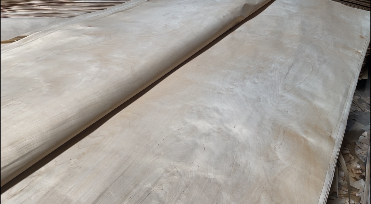 Birch Veneer