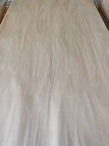Birch Veneer