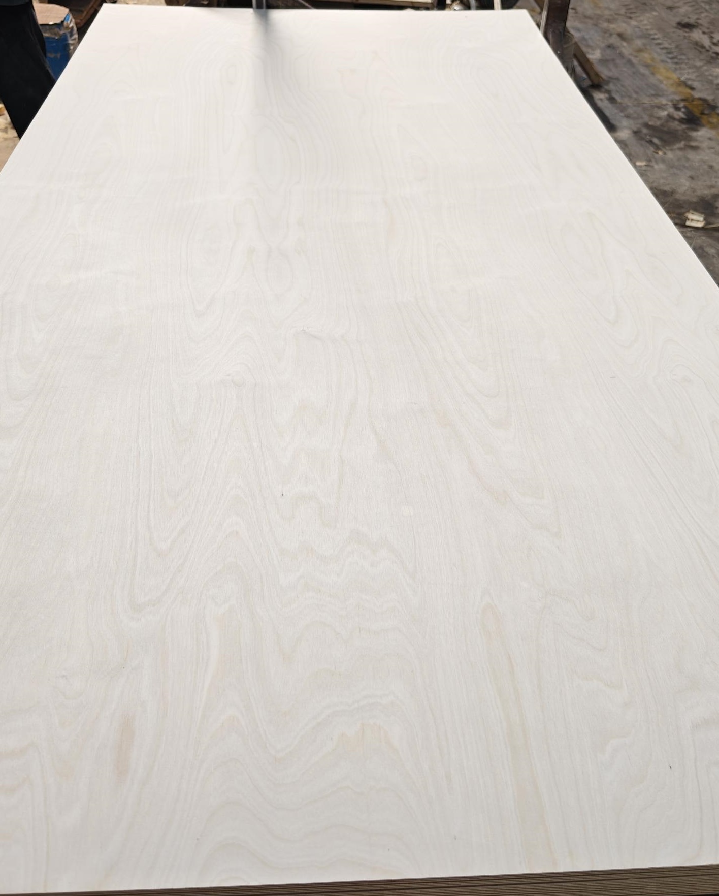 Birch Plywood