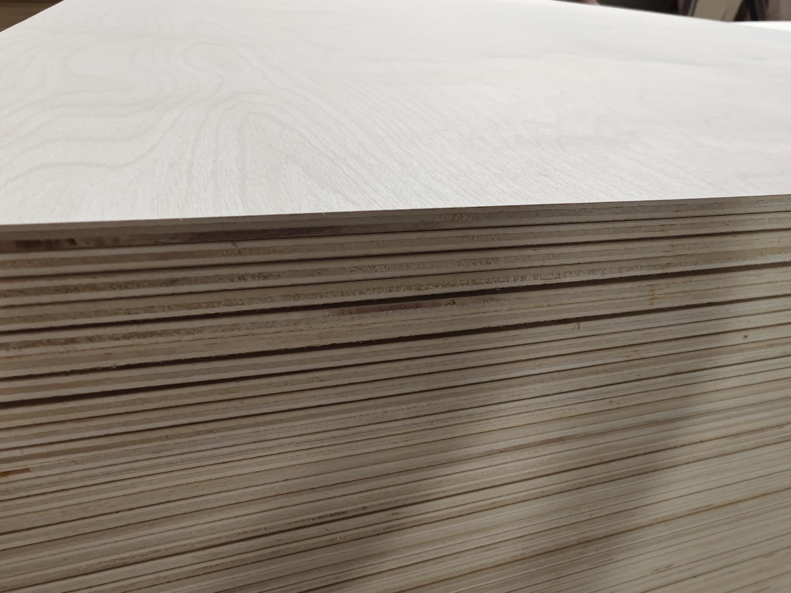 Birch Plywood